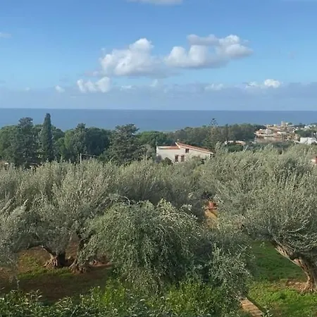 Otto Ulivi Con Piscina Privata Villa Terrasini